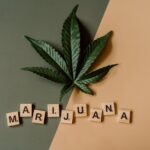 Купить семена марихуаны онлайн в России легко и безопасно