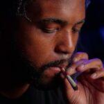 Семена конопли из Чуйской долины