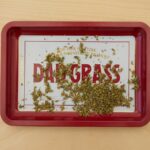 Анаша в Омске свойства и воздействие на организм