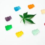 Техническая конопля в Украине: перспективы и преимущества выращивания img-1425.jpg