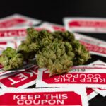 Семена конопли для попугаев польза и вред