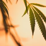 Наркотики в Набережных Челнах свойства и риски