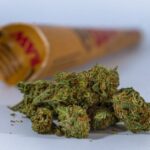 Спайс курительный: обзор и риски употребления