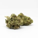 Выращивание конопли в Крыму