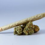 Анаша и ее свойства