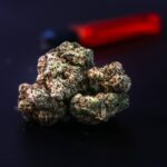 Питательные свойства и польза семян конопли для здоровья