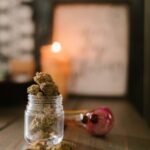 Семена конопли: свойства, сорта и способы покупки