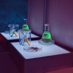 Законодательство Египта о наркотиках и риски покупки гашиша