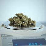 Гомеопатия Опиум — Применение и Свойства Препарата