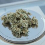 Конопляное масло в Тюмени купить легко и просто