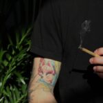 Особенности сорта Auto Super Mazar feminised