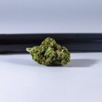 Законодательство Египта о наркотиках и риски покупки гашиша