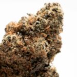 Покупка марихуаны в Праге