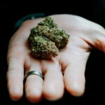 Конопля и ее приобретение