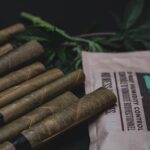 Свойства и применение семян конопли в СПб