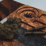 Покупка конопли онлайн и выбор надежного конопляного магазина