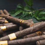 Выращивание конопли из семян