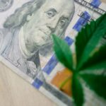 Купить марихуану в Омске