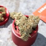 Покупка семян конопли в Рязани и их свойства