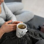 Семена конопли из Голландии и их преимущества