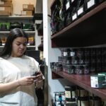 Семена конопли и марихуаны свойства и выращивание