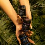 Проращивание семян конопли и подготовка к посеву