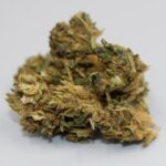 Спайс и его воздействие на организм