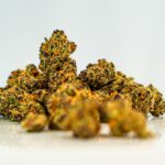 Купить семена конопли в Минске: свойства и параметры семян конопли и где их приобрести