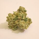 Конопляная мода и преимущества эко одежды