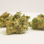 Спайс и его влияние на организм