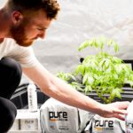 Спайс курительный: обзор и риски употребления