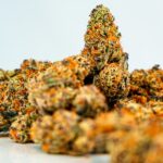 ЛСД и его свойства