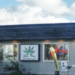 Свойства и применение сырых семян конопли