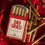 Полезные свойства конопляного семени и его применение