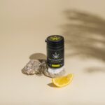 Сорт конопли Cream Caramel F1 Fast Version от Sweet Seeds