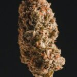 Опиум и зависимость: свойства и последствия употребления