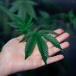 Покупка героина через интернет с помощью сервиса закладок