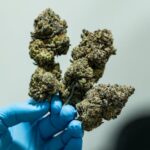 Приобретение наркотических средств в Кургане