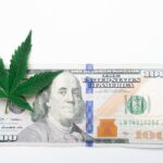 Марихуана в Чехии