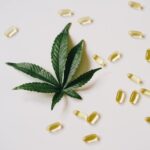 Виды и сорта конопли и ее выращивание